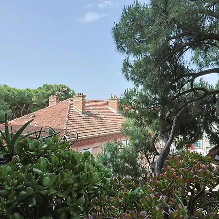 Le 293 Appartement